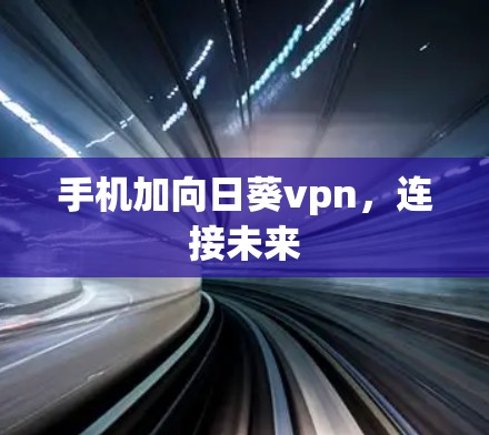 手机加向日葵vpn,连接未来