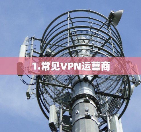 1.常见VPN运营商
