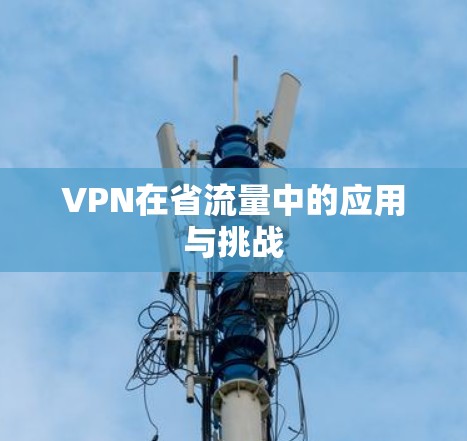 VPN在省流量中的应用与挑战