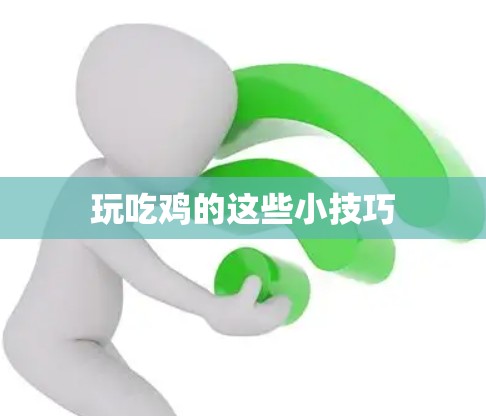 玩吃鸡的这些小技巧