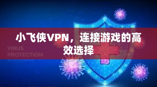 小飞侠VPN,连接游戏的高效选择