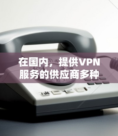 在国内，提供VPN服务的供应商多种多样，涵盖了各个规模和功能需求的公司。以下是几家知名的国内VPN供应商