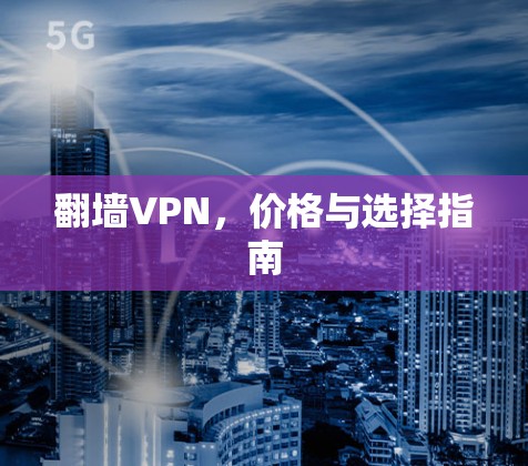 翻墙VPN，价格与选择指南