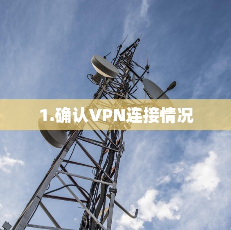 1.确认VPN连接情况