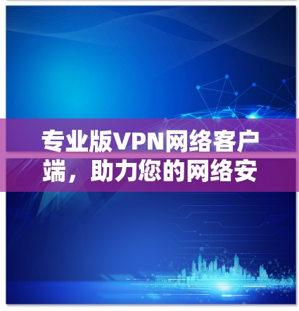 专业版VPN网络客户端,助力您的网络安全与高效传输