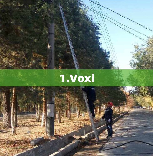 1.Voxi
