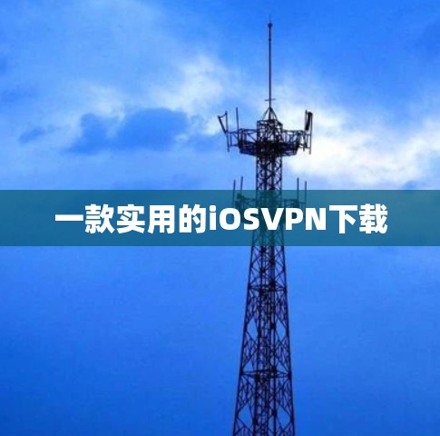 一款实用的iOSVPN下载