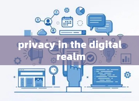 privacy in the digital realm privacy in the digital realm