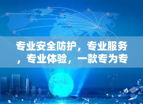 专业安全防护，专业服务，专业体验，一款专为专业人士设计的VPNAPP