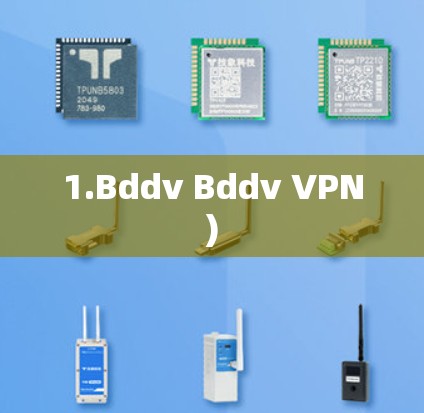 1.Bddv Bddv VPN) 1.Bddv Bddv VPN)