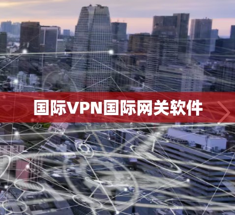 国际VPN国际网关软件