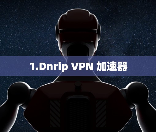 1.Dnrip VPN 加速器 1.Dnrip VPN 加速器