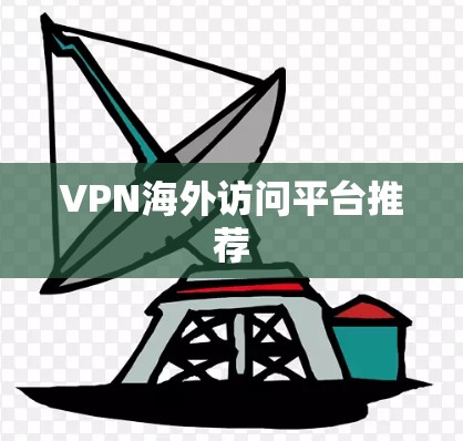 VPN海外访问平台推荐