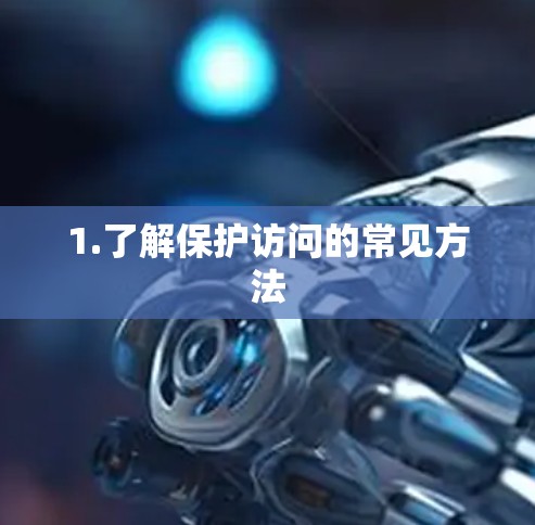 1.了解保护访问的常见方法