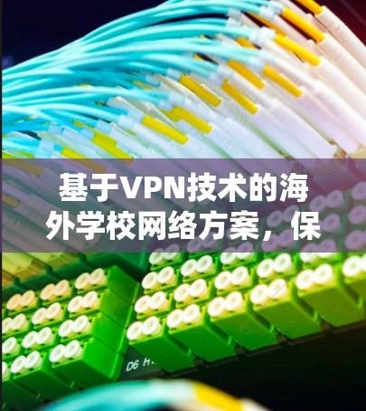 基于VPN技术的海外学校网络方案，保障学生安全的未来解决方案