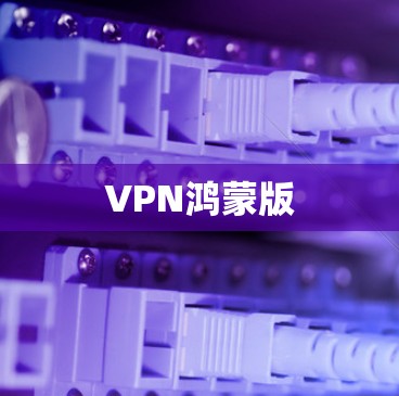 VPN鸿蒙版 VPN鸿蒙版