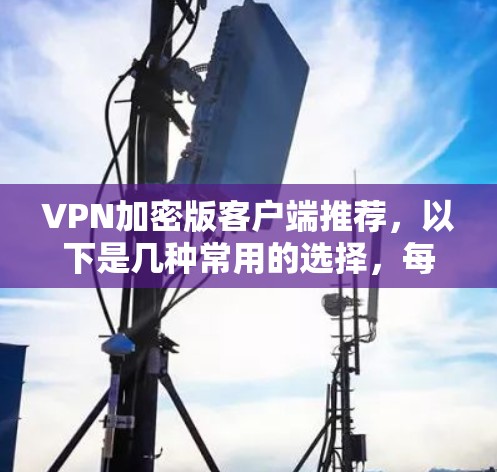 VPN加密版客户端推荐,以下是几种常用的选择,每种类型适合不同的需求 VPN加密版客户端推荐,以下是几种常用的选择,每种类型适合不同的需求