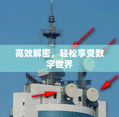 高效解密,轻松享受数字世界 高效解密,轻松享受数字世界