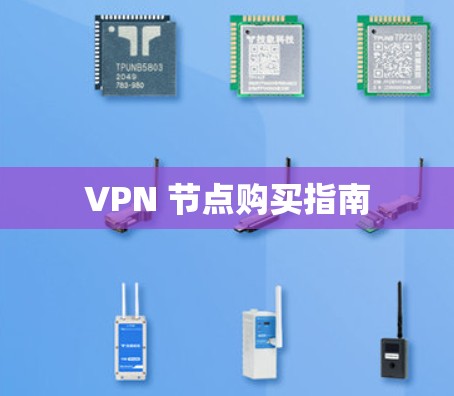 VPN 节点购买指南