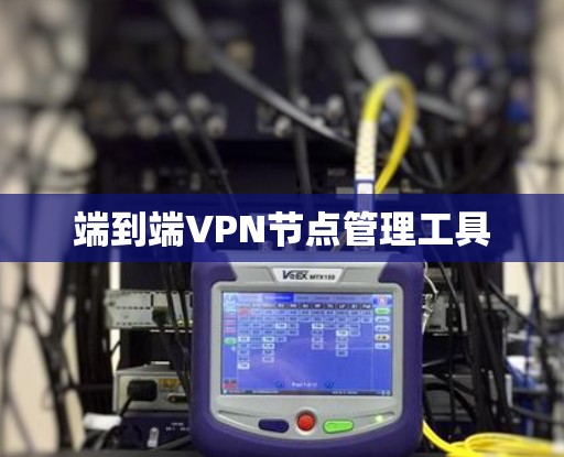 端到端VPN节点管理工具