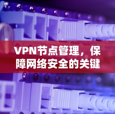 VPN节点管理，保障网络安全的关键