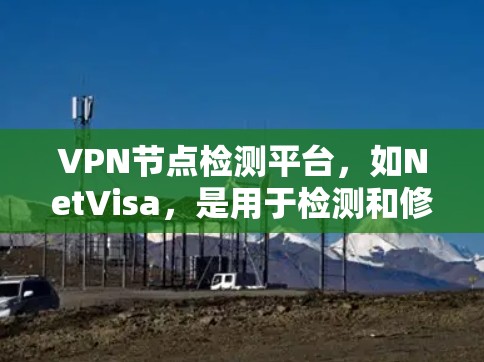 VPN节点检测平台，如NetVisa，是用于检测和修复网络中的恶意软件的工具。以下是对VPN节点检测平台的详细总结