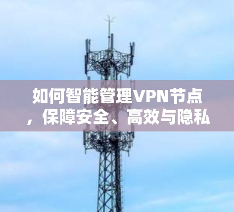 如何智能管理VPN节点，保障安全、高效与隐私