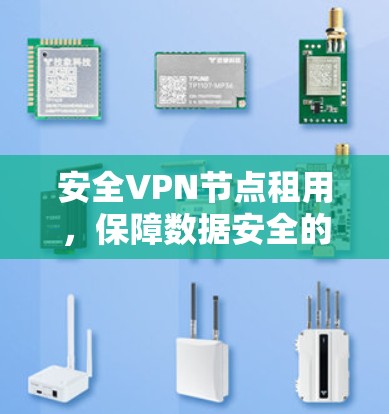 安全VPN节点租用,保障数据安全的高效解决方案 安全VPN节点租用,保障数据安全的高效解决方案