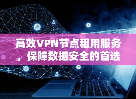 高效VPN节点租用服务，保障数据安全的首选方案