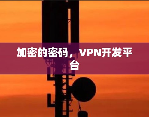 加密的密码，VPN开发平台
