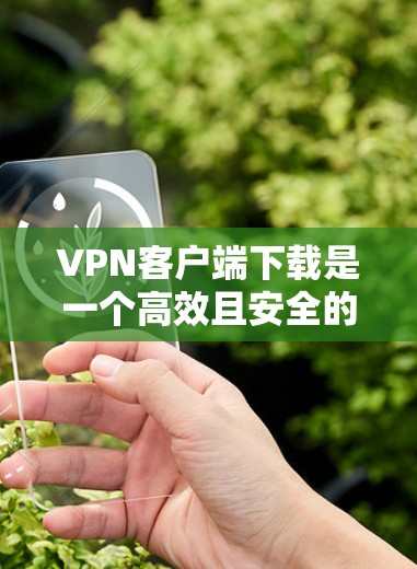 VPN客户端下载是一个高效且安全的工具，帮助用户轻松访问互联网资源。以下是针对VPN客户端下载的详细步骤和注意事项
