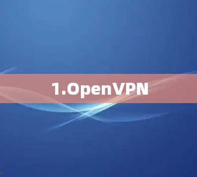 1.OpenVPN 1.OpenVPN