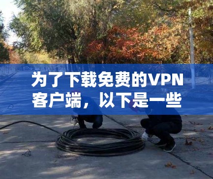 为了下载免费的VPN客户端，以下是一些步骤和建议