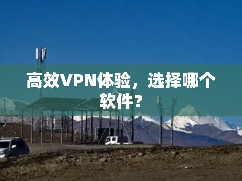高效VPN体验，选择哪个软件？