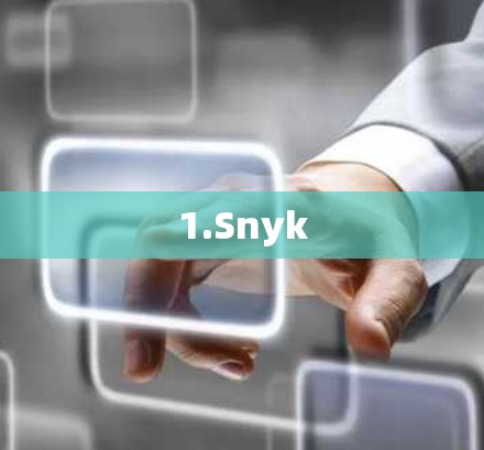 1.Snyk 1.Snyk