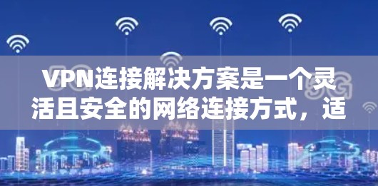 VPN连接解决方案是一个灵活且安全的网络连接方式，适合不同用户需求的多样化选择。以下是对VPN服务的详细总结和建议