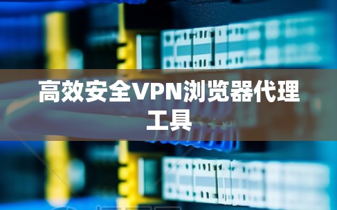 高效安全VPN浏览器代理工具