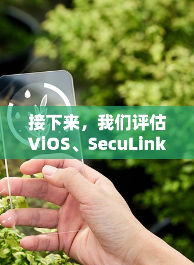 接下来,我们评估ViOS、SecuLink、Netneta等VPN浏览器的特点 接下来,我们评估ViOS、SecuLink、Netneta等VPN浏览器的特点