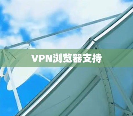 VPN浏览器支持