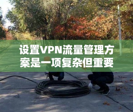 设置VPN流量管理方案是一项复杂但重要的任务，确保VPN流量的安全和合规。以下是一个基于目标的 VPN 流量管理方案，涵盖了流量限制、流量转发、流量回滚、监控与报警、测试与验证以及安全策略等方面
