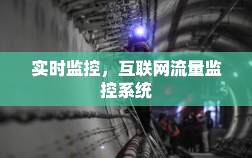 实时监控,互联网流量监控系统 实时监控,互联网流量监控系统