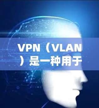 VPN（VLAN）是一种用于网络防火墙技术的工具，用于在特定的网络流量范围内控制流量。它通过将网络流量划分为多个子网（VLANs）来实现流量控制和管理。以下是关于VPN的详细说明