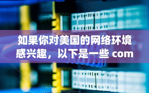 如果你对美国的网络环境感兴趣，以下是一些 commonly used VPNs 的推荐