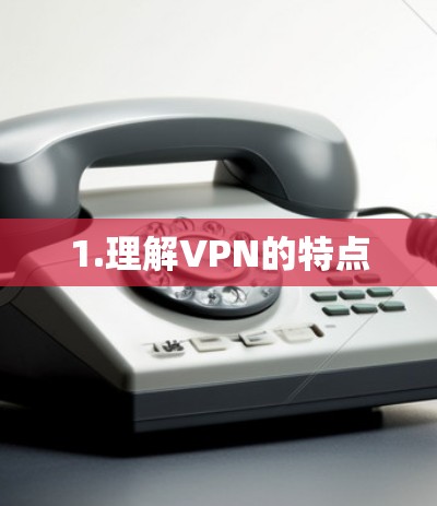 1.理解VPN的特点