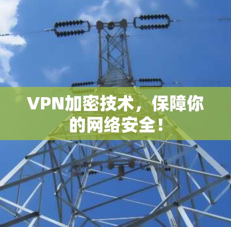 VPN加密技术，保障你的网络安全！