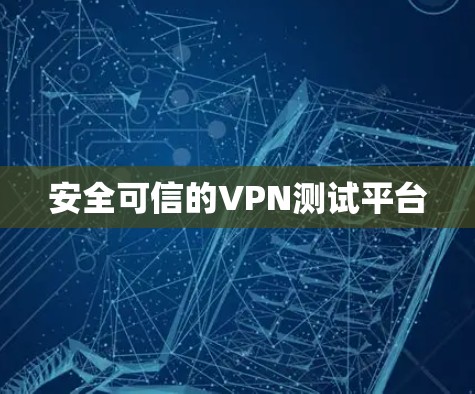 安全可信的VPN测试平台