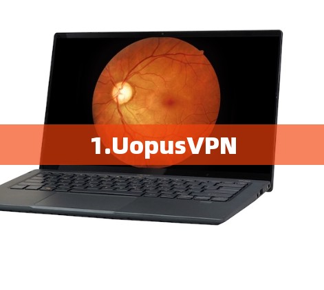 1.UopusVPN