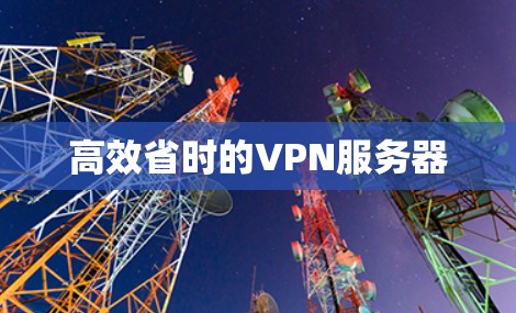 高效省时的VPN服务器