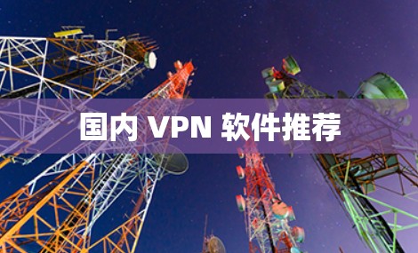 国内 VPN 软件推荐