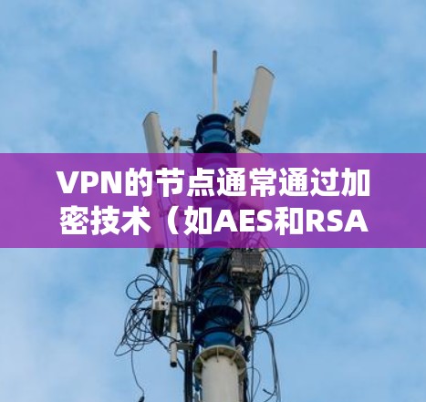 VPN的节点通常通过加密技术（如AES和RSA）来保护数据传输，但许多VPN服务提供了免费的节点，这些节点可能在测试过程中提供一定的安全保护。以下是关于VPN节点的详细分析